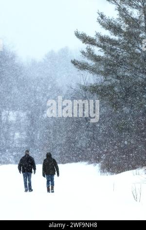 Deux copains marchant sur une route hivernale enneigée dans le comté de Mecosta, Michigan, États-Unis Banque D'Images