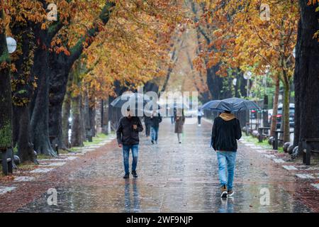 Promenade Francisco de Vitoria, automne sous la pluie, Vitoria, pays Basque, Espagne Banque D'Images