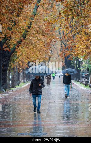 Promenade Francisco de Vitoria, automne sous la pluie, Vitoria, pays Basque, Espagne Banque D'Images