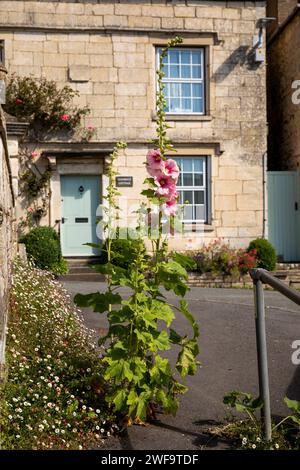 Royaume-Uni, Angleterre, Gloucestershire, Painswick, Vicarage Street, fleur de bocal bloquant le sentier Banque D'Images