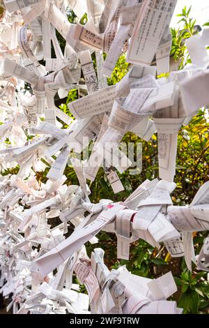 Tokyo, Japon. 7 janvier 2024. Les feuilles Omikuji qui prédisent son avenir nouées à l'extérieur du temple bouddhiste Kiyomizu Kannon-do dans le centre-ville Banque D'Images