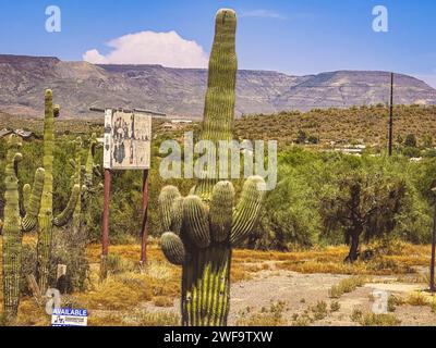 De multiples plantes de cactus avec des signes au premier plan d'un paysage désertique Banque D'Images