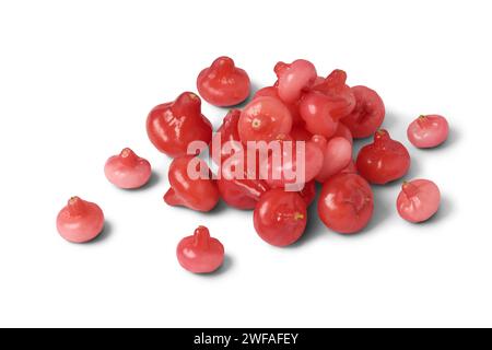 jambu ou pomme rose, aka fruit de cloche ou pomme de cire, la chair est croustillante et aqueuse, en forme de cloche ou de poire fruit juteux isolé sur fond blanc Banque D'Images