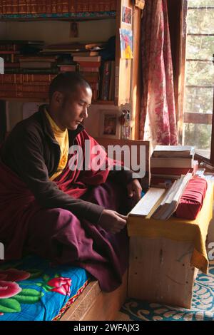 Jeune moine dans son dortoir étudie les écritures bouddhistes à l'école, vallée de Phobjikha, centre du Bhoutan, Asie Banque D'Images