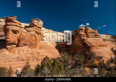 Entrada grès, dont l'un ressemble à un visage, dans les parois latérales du Devil's Canyon, près de Fruita, Colorado Banque D'Images