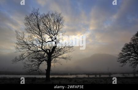 Vue brumeuse d'une colline lointaine comme le soleil tardif brille à travers des arbres silhouettés sur un après-midi d'hiver près de Killin, Perthshire, Écosse, Royaume-Uni Banque D'Images