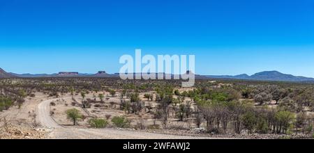 Vue sur la rivière Ugab et ses terrasses, Namibie Banque D'Images