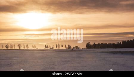 Paysage hivernal dans le sud de la Norvège vu de la fenêtre du train Oslo-Bergen (Bergensbanen) Banque D'Images