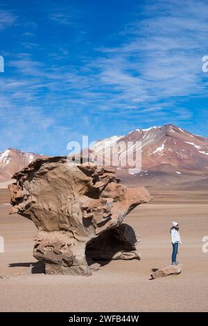 Les touristes posent devant la formation Stone Tree à Pampa Siloli désert de haute altitude de cendres volcaniques et affleurements rocheux mieux connu pour ses 8 mètres b Banque D'Images