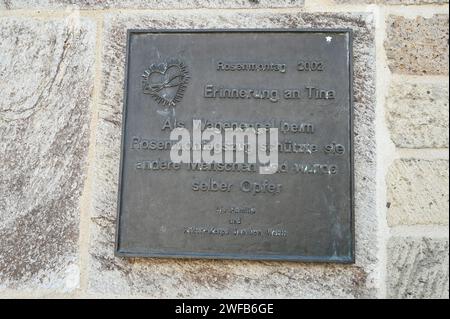 Cologne, Allemagne. 28 janvier 2024. Une plaque commémorative sur le mur de la maison commémore Tina, décédée dans un accident lors du défilé Rosenmotag le 11 février 2002. Crédit : Horst Galuschka/dpa/Horst Galuschka dpa/Alamy Live News Banque D'Images