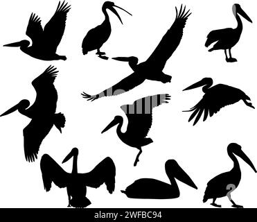 Collection de silhouettes d'oiseaux pélicans Illustration de Vecteur