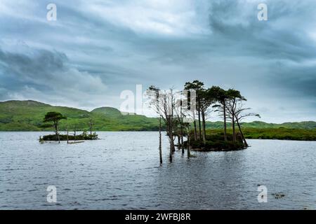 Petite île sur le Loch Assynt dans les Highlands du Nord-Ouest, Écosse, Royaume-Uni Banque D'Images