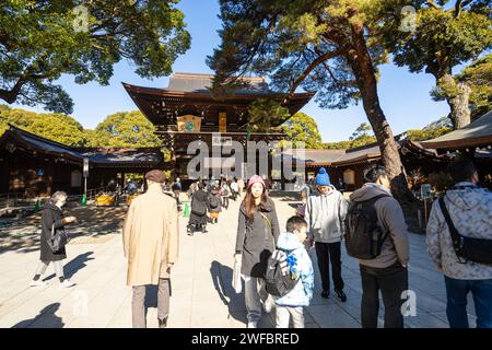 Tokyo, Japon. 8 janvier 2024. Les fidèles dans les cours intérieures du temple Shinto Meiji dans le centre-ville Banque D'Images