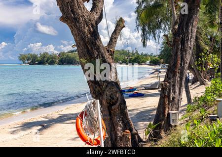 Plage de Choeng mon, Bo Phut, Ko Samui, Thaïlande Banque D'Images