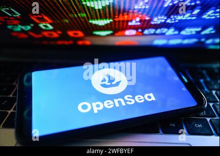 Pologne. 30 janvier 2024. Dans cette illustration photo, un logo OpenSea est affiché sur un smartphone avec des pourcentages boursiers sur le fond. Crédit : SOPA Images Limited/Alamy Live News Banque D'Images