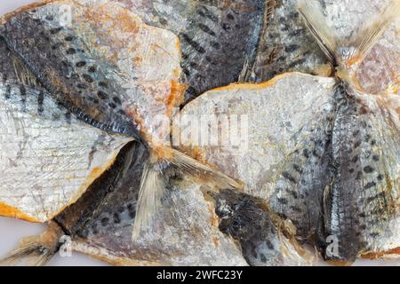 Fond de texture scad à rayures jaunes salées sèches. Motif de petit poisson séché, papier peint snack selaroides, snacks de bière de stockfish à plat, remplissage plat séché Banque D'Images