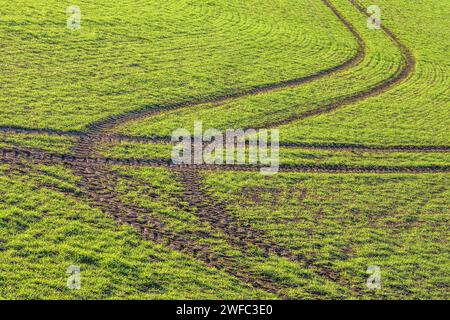 Marques de pneus de tracteur dans le champ des agriculteurs - centre de la France. Banque D'Images