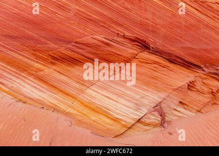 Motifs colorés dans le grès Navajo dans South Coyote Buttes, Vermilion Cliffs National Monument, Arizona. Banque D'Images