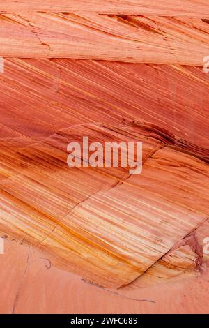 Motifs croisés dans le grès Navajo à South Coyote Buttes, Vermilion Cliffs National Monument, Arizona. Banque D'Images