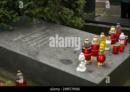 Non exclusive : LVIV, UKRAINE - 29 JANVIER 2024 - des lanternes Vigile sont vues sur la tombe d'Andrii Lazarenko, un participant à la bataille de Kruty qui Banque D'Images