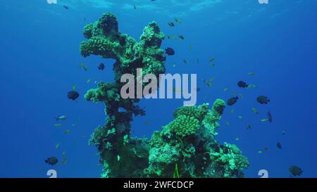 Mer Rouge, Égypte. 24th juin 2023. Silhouette de corail formation d'une forme bizarre inhabituelle sur les fonds marins, mer Rouge, Safaga, Egypte (Credit image: © Andrey Nekrasov/ZUMA Press Wire) USAGE ÉDITORIAL SEULEMENT! Non destiné À un usage commercial ! Banque D'Images