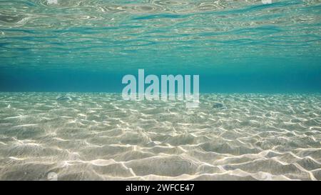 Mer Rouge, Égypte. 24 juin 2023. Eau peu profonde sablonneuse en rafale de soleil et éblouissement sur le sable des fonds marins. La lumière du soleil passe à travers la surface de l'eau turquoise et des glaçures sur fond sablonneux dans l'eau peu profonde par une journée ensoleillée, la mer Rouge, l'Egypte (Credit image : © Andrey Nekrasov/ZUMA Press Wire) USAGE ÉDITORIAL SEULEMENT! Non destiné à UN USAGE commercial ! Crédit : ZUMA Press, Inc./Alamy Live News Banque D'Images