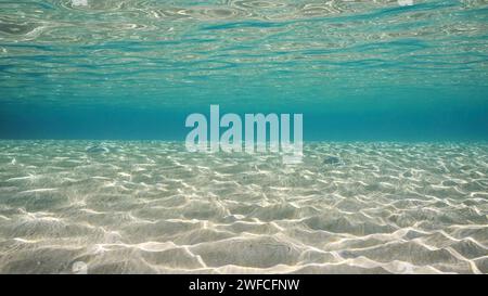 Eau sablonneuse peu profonde en rafale et reflet sur le sable des fonds marins. La lumière du soleil traverse la surface de l'eau turquoise et des reflets sur fond sablonneux dans wat peu profond Banque D'Images