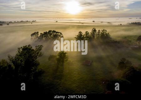 Vue drone brouillard à l'aube - Banque D'Images