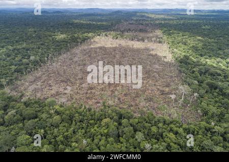 Vue du récent drone illégal de déforestation pour accaparement des terres à l'intérieur des terres indigènes Uru-eu-wau-wau - Banque D'Images