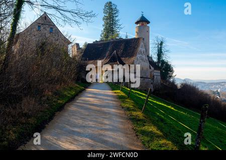 Le château de Birseck (Burg Birseck) est situé dans la municipalité d'Arlesheim, dans le canton de Bâle-campagne. Suisse. Le château de Birseck est situé sur un Banque D'Images