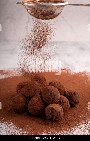 chocolat, nourriture, maison, truffe au chocolat, gourmet, poudre de cacao, confiserie, fond, isolé, photographie, pas de gens, sucre, vertical, col Banque D'Images