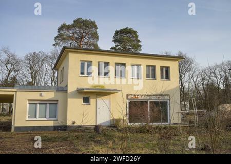 Leerstand, Häuser von US-Offizieren, Luchsweg, Grunewald, Charlottenburg-Wilmersdorf, Berlin, Deutschland Banque D'Images