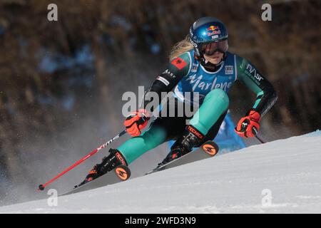 Kronplatz, Tyrol du Sud, Italie. 30 janvier 2024. Audi FIS ski Ladies World Cup ; Lara Colturi (ALB) crédit : action plus Sports/Alamy Live News Banque D'Images