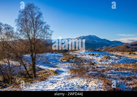 Les Druim près de Brig o' Turk avec Ben venue, Trossachs, Stirling, Écosse Banque D'Images