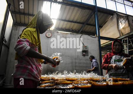 Bandung, Java Ouest, Indonésie. 30 janvier 2024. Les ouvriers fabriquent des kue keranjang (gâteaux à panier) typiques avant les célébrations du nouvel an chinois dans une maison de production à Bandung. Les ventes de ce gâteau augmentent avant la célébration du nouvel an chinois. Ce gâteau, qui est fabriqué en dix-huit heures, peut produire 4 000 à 5 000 morceaux de gâteau de panier par jour. (Image de crédit : © Dimas Rachmatsyah/ZUMA Press Wire) USAGE ÉDITORIAL SEULEMENT! Non destiné à UN USAGE commercial ! Banque D'Images