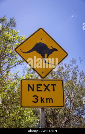 Panneau routier kangourou, Australie Banque D'Images
