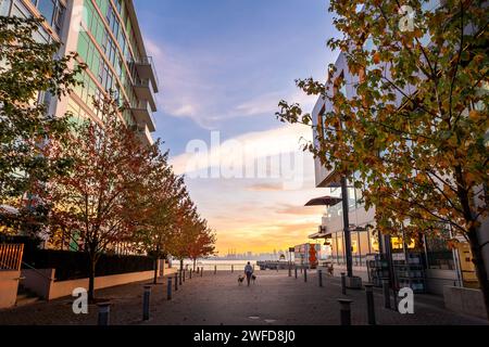 NORTH VANCOUVER, BC, CANADA - OCT 19, 2022 : femme promenant son chien sur la promenade près des chantiers navals de Lonsdale Quay avec vue sur le centre-ville Banque D'Images