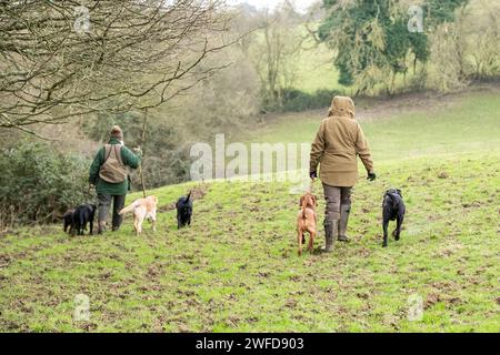 Fieldsports Shoot Banque D'Images