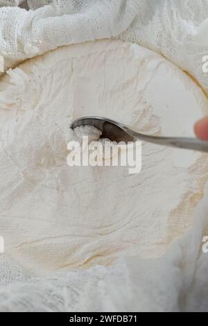 Fromage à la crème maison pour sandwichs. Fromage à la crème maison Banque D'Images