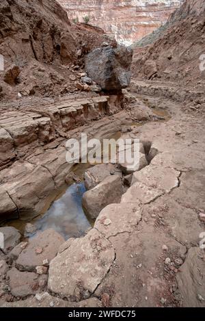 Vase du réservoir Powell érodé près de l'embouchure du Clearwater Canyon, Cataract Canyon, Utah. Banque D'Images