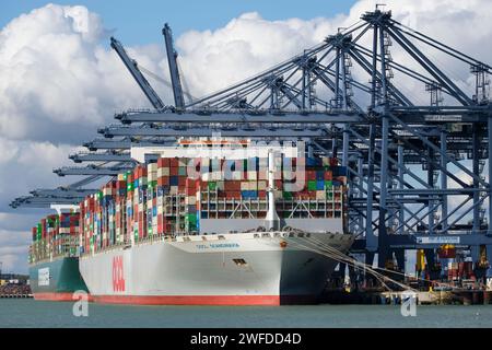 Porte-conteneurs dans le port de Felixstowe, le plus grand port à conteneurs du Royaume-Uni Banque D'Images