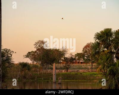 Coucher de soleil autour de l'étang sur une ferme dans le Brésil rural Banque D'Images