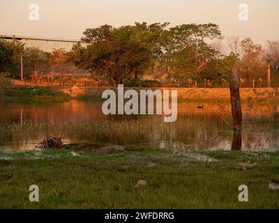 Coucher de soleil autour de l'étang sur une ferme dans le Brésil rural Banque D'Images