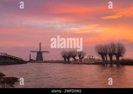 Le Kaagmolen, les saules pollard et un bateau à Spanbroek (Hollande du Nord) sous un ciel aux couleurs vives. Le Kaagmolen est un moulin à polder construit en 1654. Banque D'Images