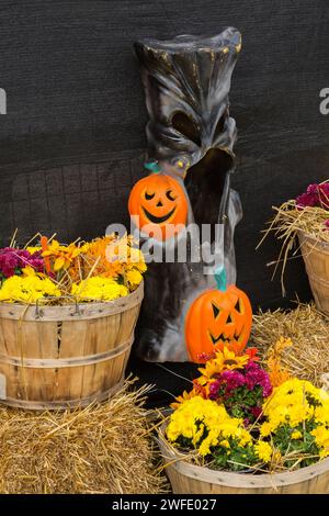 Halloween exposition de sculpture de monstre effrayant noir avec des citrouilles oranges et des paniers en bois avec des fleurs jaunes et violettes de chrysanthème en automne, Banque D'Images