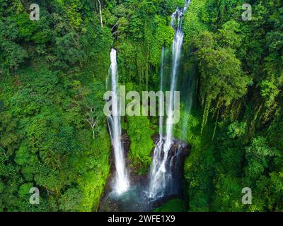 Vue aérienne d'une cascade de jungle Banque D'Images