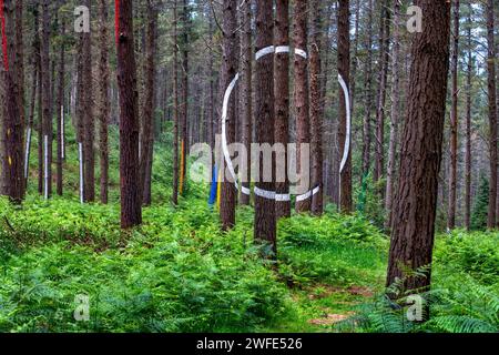 OMA Forest est une œuvre d'art d'Agustin Ibarrola, sculpteur et peintre basque, dans la réserve naturelle d'Urdaibai, Oma, Vizcaya, pays Basque Euska Banque D'Images