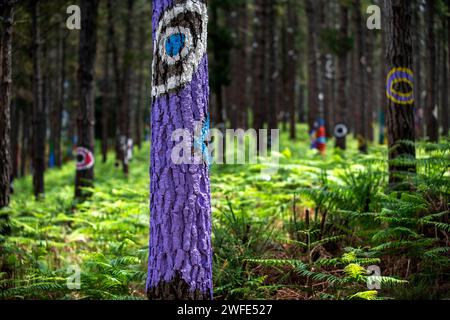 OMA Forest est une œuvre d'art d'Agustin Ibarrola, sculpteur et peintre basque, dans la réserve naturelle d'Urdaibai, Oma, Vizcaya, pays Basque Euska Banque D'Images