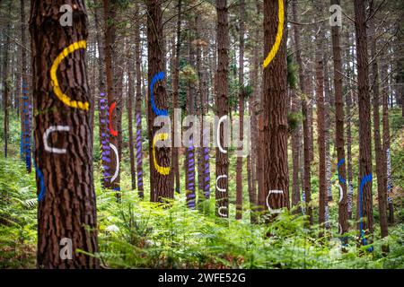 OMA Forest est une œuvre d'art d'Agustin Ibarrola, sculpteur et peintre basque, dans la réserve naturelle d'Urdaibai, Oma, Vizcaya, pays Basque Euska Banque D'Images