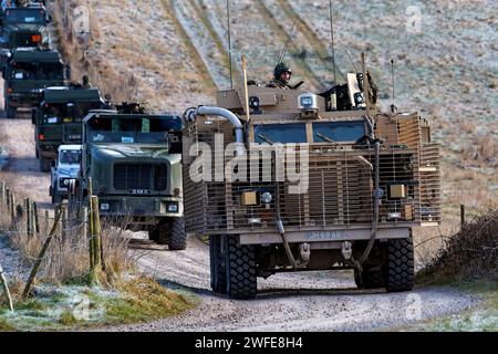 Salisbury Plain, Wiltshire, Royaume-Uni - février 11 2010 : Mastiff 2 de l'armée britannique, véhicule de patrouille blindé 6x6 roues motrices sur la zone d'entraînement de Salisbury Plain Banque D'Images